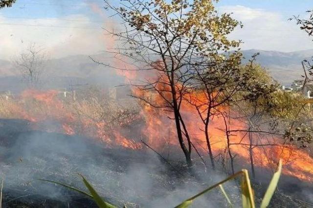 آتش در جنگل‌های گلستان/ اعزام تیم‌های امدادی