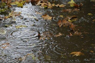 پیش بینی تداوم بارندگی و وقوع مه در خوزستان