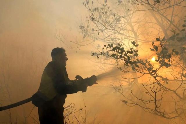 آتش‌سوزی در جنگل‌های الیت در جاده چالوس