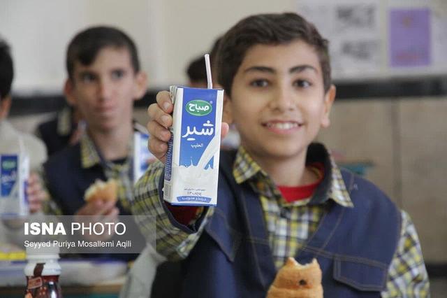 منتظر ابلاغ شیوه‌نامه جدید توزیع شیر در مدارس فارس هستیم/ ۴۲۰ هزار دانش‌آموز مشمول شیر رایگان می‌شوند