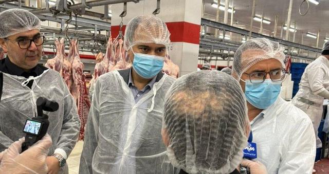 روند تولید و بسته بندی انواع گوشت و فرآوردههای پروتئینی بررسی شد/ پیگیری تخصیص ارز برای واردات گوشت