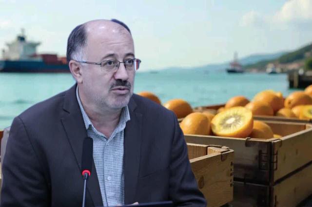 صادرات حدود ۲۱ هزار تن میوه از مازندران