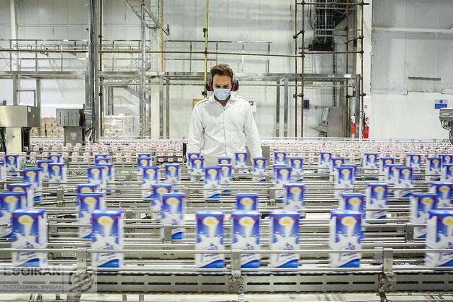 گرانی لبنیات با جهش قیمت شیر | لبنیات چقدر گران شد؟