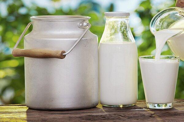 شیر در زاهدان گران شد؛ دود اختلاف جهادکشاورزی و دامدار به چشم مردم رفت