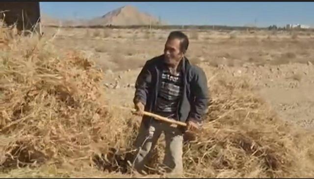 شکارچی قدیمی شاهرودی یاور محیط‌بانان شد