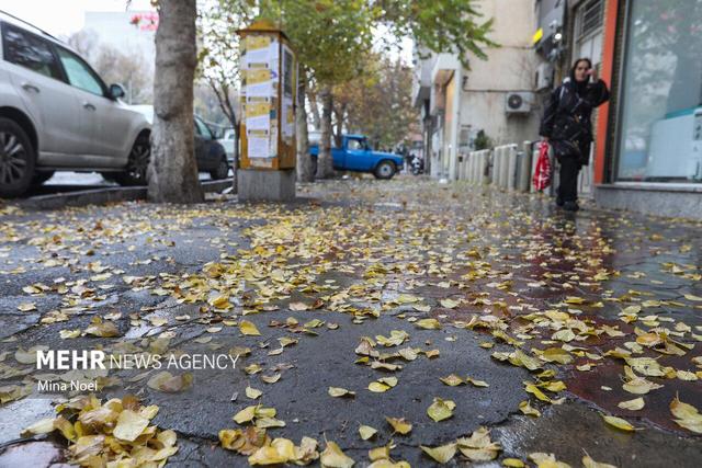 رحیمی: بارش تگرگ سردشت را سفید پوش کرد؛ ثبت ۳۷.۶ میلی‌متربارش