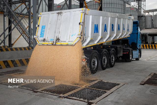 محموله‌های نهاده دامی منتظر تخصیص ارز هستند