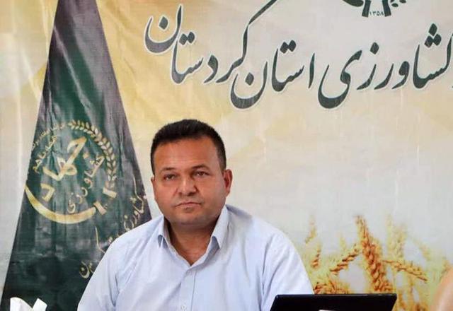 ضرورت احتیاط کشاورزان در کشت پاییزه/با این میزان بارش، اجازه شخم زدن زمین را نداریم