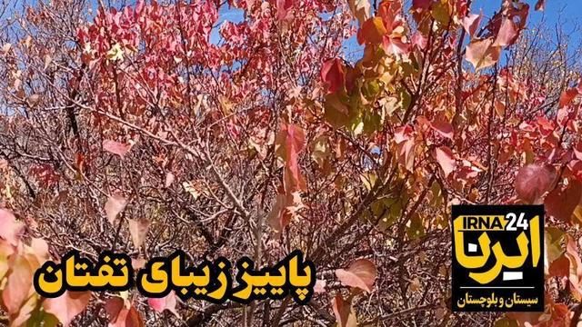 فیلم| پاییز تفتان؛ تجلی رنگ‌ها و آرامش در دامنه کوهستان