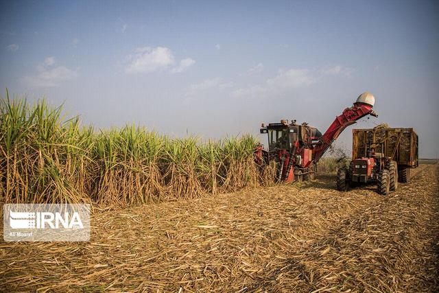 نیشکر خوزستان؛ طرح تمدنی در مسیر امنیت غذایی، توسعه پایدار و اقتصاد مقاومتی