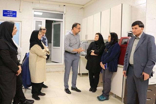 افزایش مبتلایان به تب دنگی، هیئت تخصصی سازمان جهانی بهداشت را به هرمزگان کشاند