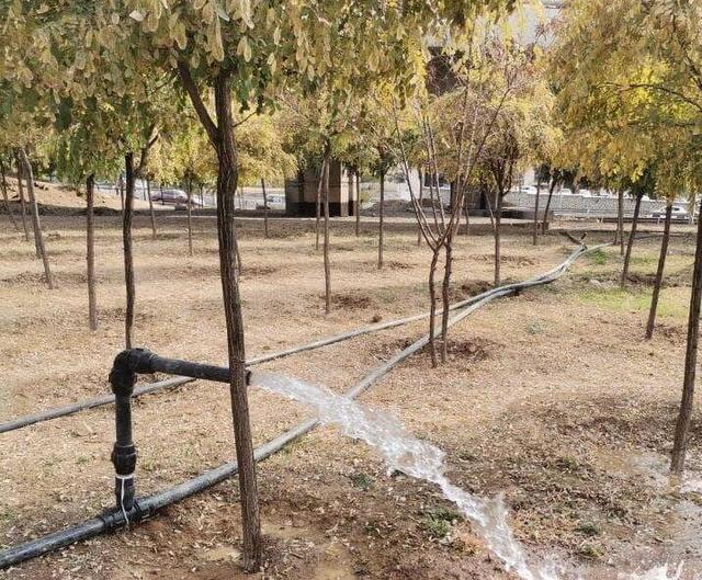 افتتاح ۶ طرح فضای سبز در شمال تهران