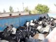 کشف ۷۹ راس احشام فاقد مجوز در شهرستان اوز
