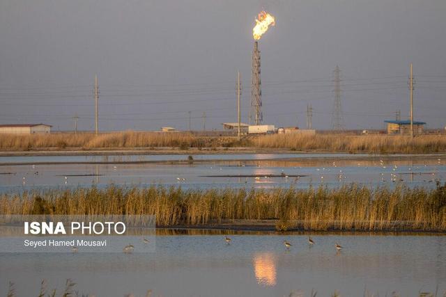 تنفس هوای آلوده در ۱۴ شهر خوزستان/ ۷ شهر در وضعیت «ناسالم»