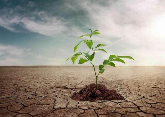 رئیس جهاد کشاورزی کرمانشاه: باید برنامهای جامع برای کشاورزی در شرایط خشکسالی داشته باشیم