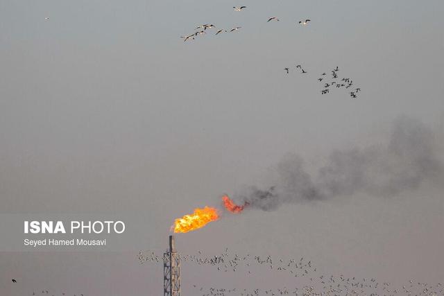 در خوزستان یک فلر خاموش شود، ۱۰ فلر دیگر روشن میشود/ تصویب اجرای سه طرح انتقال آب، در خشکی پاییندست کارون