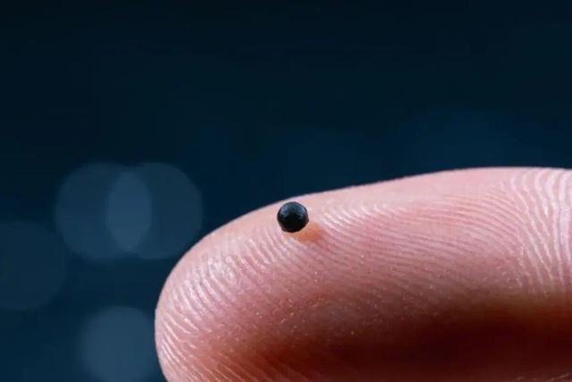 این ربات‌های مینیاتوری دارو را مستقیما به مغز می‌رسانند