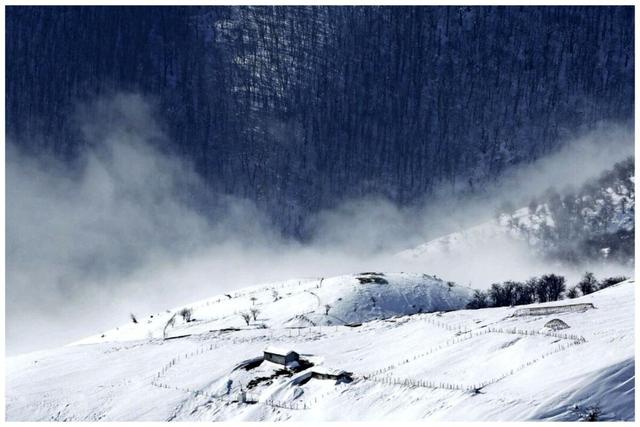 بارش دومین برف پاییزی در تهران + تصاویر