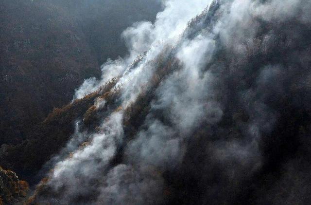 مانع بزرگ پیش پای مهار آتش در الیت | زیستگاه مرال همچنان می‌ سوزد | یک مسئول استان: آتش سوزی عمدی است