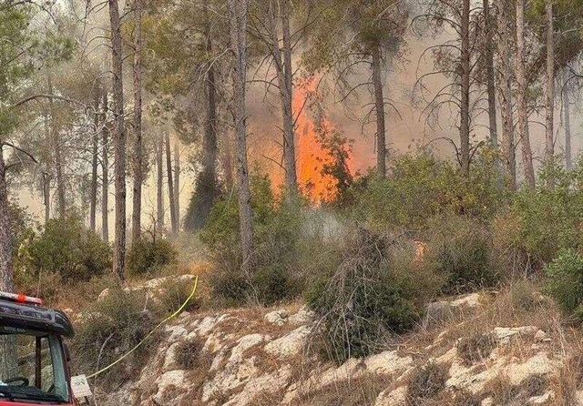 ۱۴ گروه زمینی مشغول مهار آتش در جنگلهای چالوس هستند