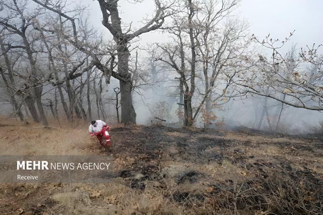 عملیات اطفای حریق در جنگل های چالوس
