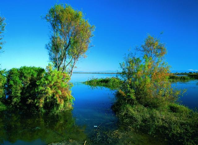 تورهای غیرمجاز صیدماهی از تالاب آلماگل جمع‌آوری شد