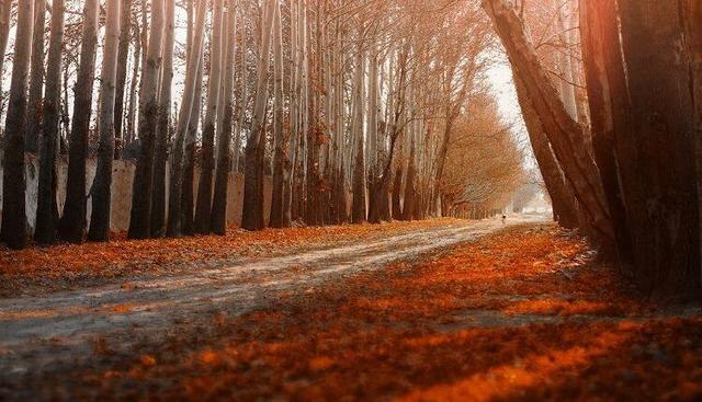 خبر ذخیرهسازی شده توسط در تاریخ ۱۴۰۴۰۸۲۶-۲۲:۰۰