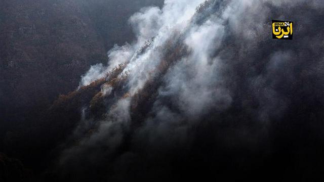 علت آتش پاییزی جنگل هیرکانی «الیت»