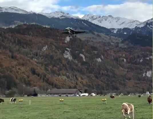 فرود جنگنده اف ۱۸ در گاوداری سوژه شد +ویدیو