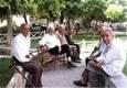 مراکز گفتگو ویژه سالمندان در پارک‌ها در دستور کار