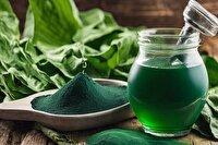 رونمایی از محصولات آرایشی و بهداشتی مبتنی بر جلبک‌ خلیج فارس