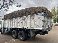 ۷ تن شیرین‌بیان قاچاق در اردبیل توقیف شد