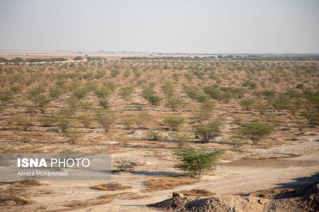 مدیرکل حفاظت محیط زیست استان زنجان: توسعه پایدار بدون رعایت الزامات زیست‌محیطی ممکن نیست