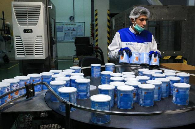 تب برفکی و کمبود نهادهها تولید و صادرات شیر خشک را تهدید میکند؟