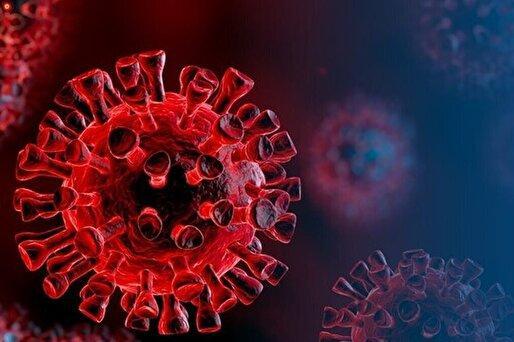 پیک جدید بیماری‌های تنفسی در راه است