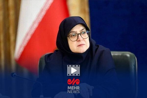 واکنش مهاجرانی به انتقادات درباره انتصاب رئیس سازمان بهینه سازی کشور