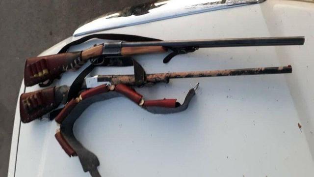 شکار غیرمجاز یک قلاده کفتار در طارم سفلی