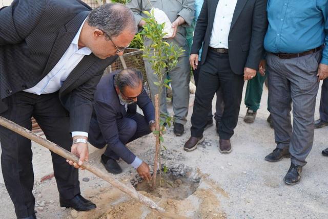 اجرای طرح "محله سبز" در بوشهر آغاز شد