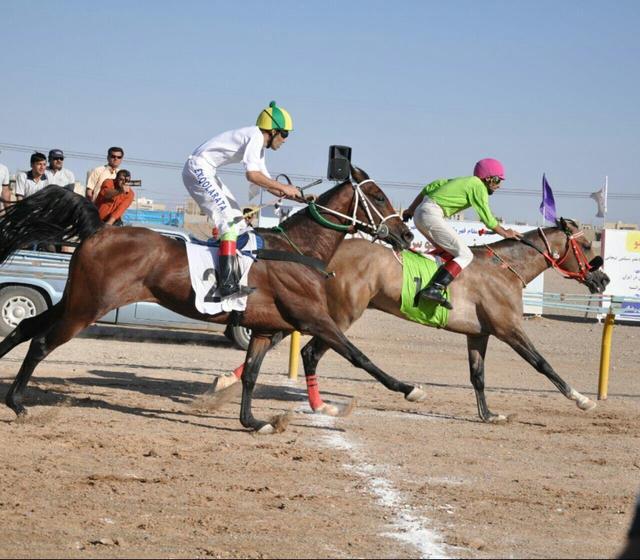 کورس اسبدوانی پاییزه کشور در یزد به خط پایان رسید