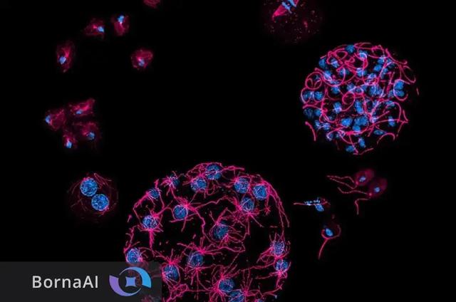 میکروبها از انسان هم باهوشترند!