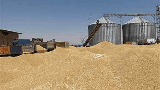 واردات ۲۰۹ هزار تنی گندم به استان اصفهان