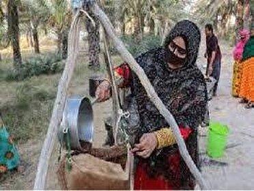 تولید ۱۰۰ تن شیره خرما در شهرستان بستک