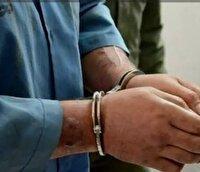 دستگیری قاچاقچی فراری چوب در نور