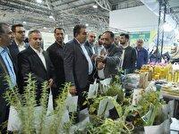 نمایشگاه روستاآباد زمینه‌ساز هر خانه یک کارخانه شد