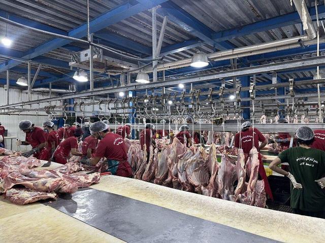 ترخیص ۵۰۰۰ تُن فرآورده دامی از مرز میرجاوه سیستان و بلوچستان