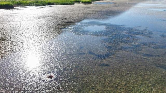 کنشگر و فعال محیط‌زیست: ایران ۱۰۰ برابر عربستان آب دارد/ با باران مشکل ما حل نمی‌شود