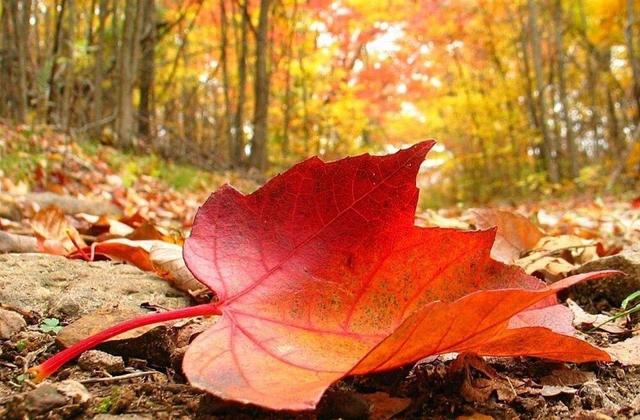 تداوم هوای نسبتا سرد صبحگاهی همدان در روزهای آینده