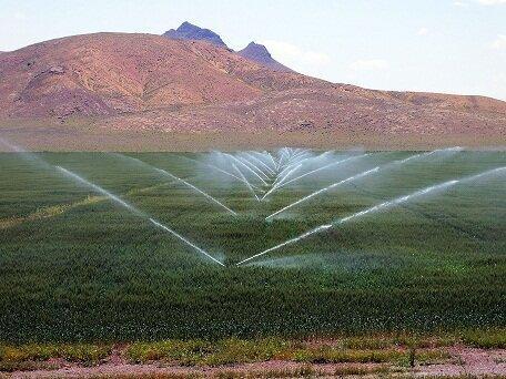 افزایش بهرهوری و صرفهجویی درمصرف آب «گرجایی» با استفاده از سیستمهای نوین آبیاری