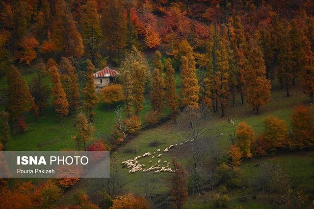 تداوم پایداری هوا تا اواسط هفته آینده در گیلان