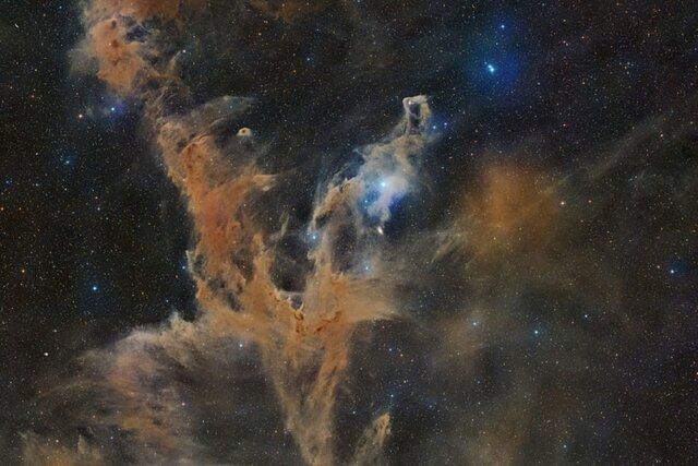 عکس روز ناسا از آفتابپرست کیهانی را ببینید